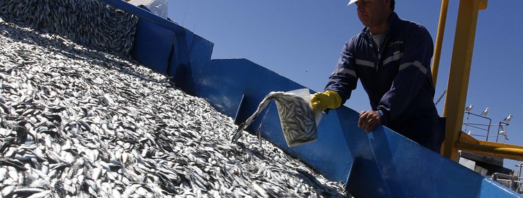 Trabajadores pesqueros: Subpesca extiende plazos para postular a programas de beneficios