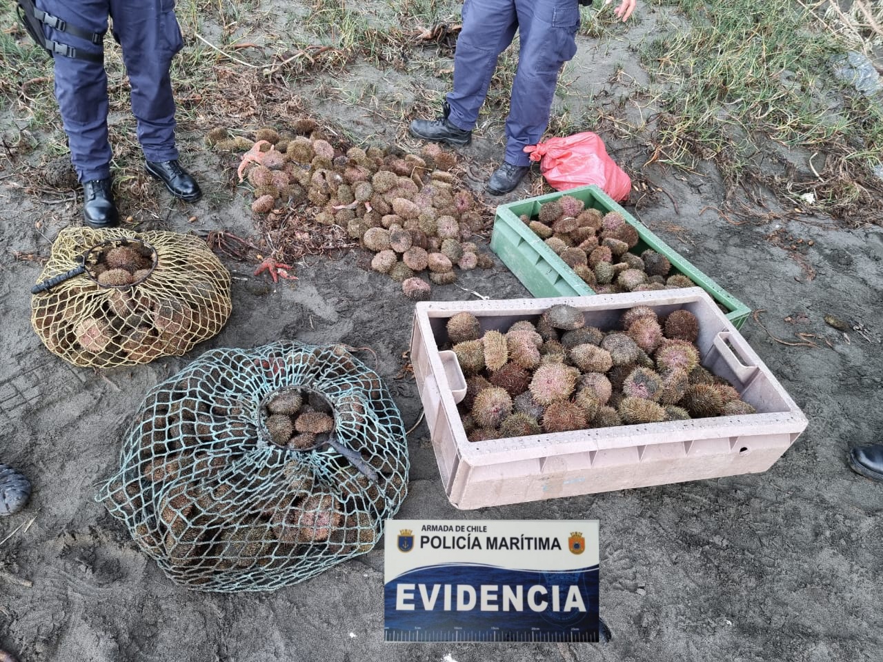 Los Ríos: Detectan extracción ilegal de recursos en área de manejo