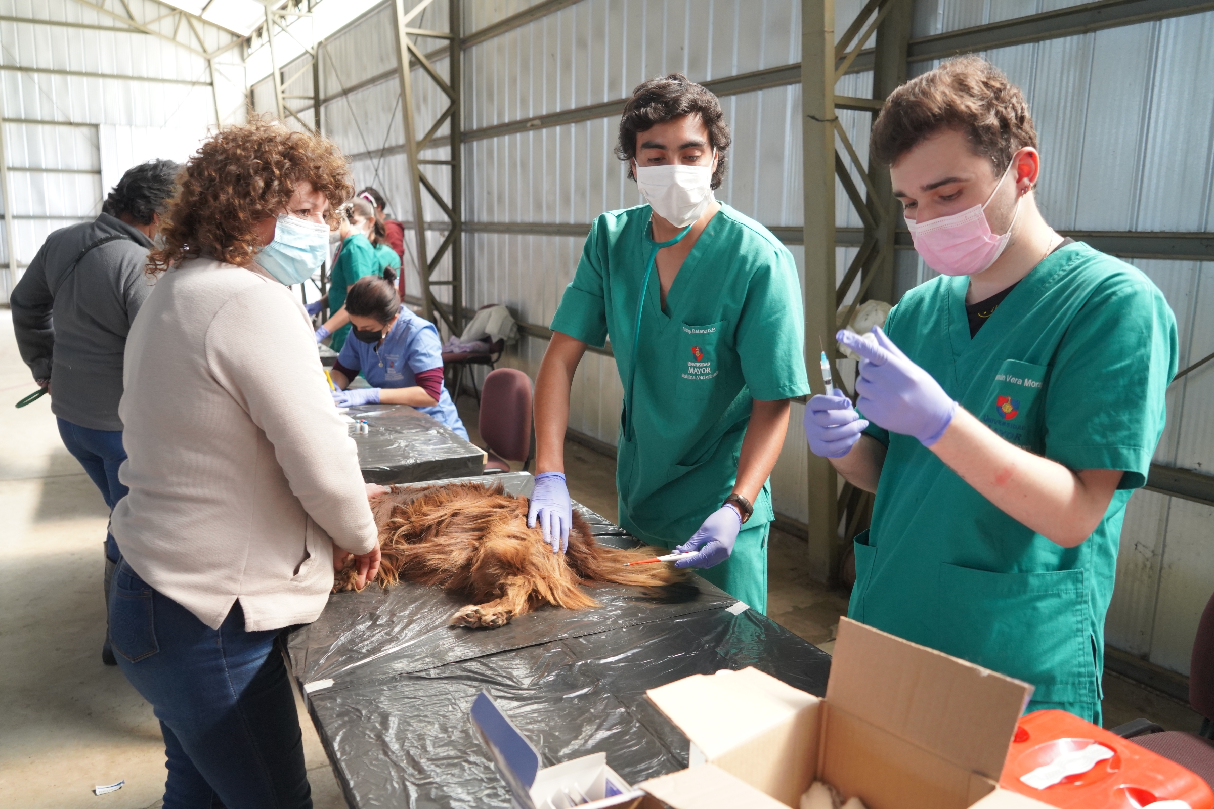 Curacautín: SalmonChile junto a Universidad Mayor realizaron exitoso operativo veterinario
