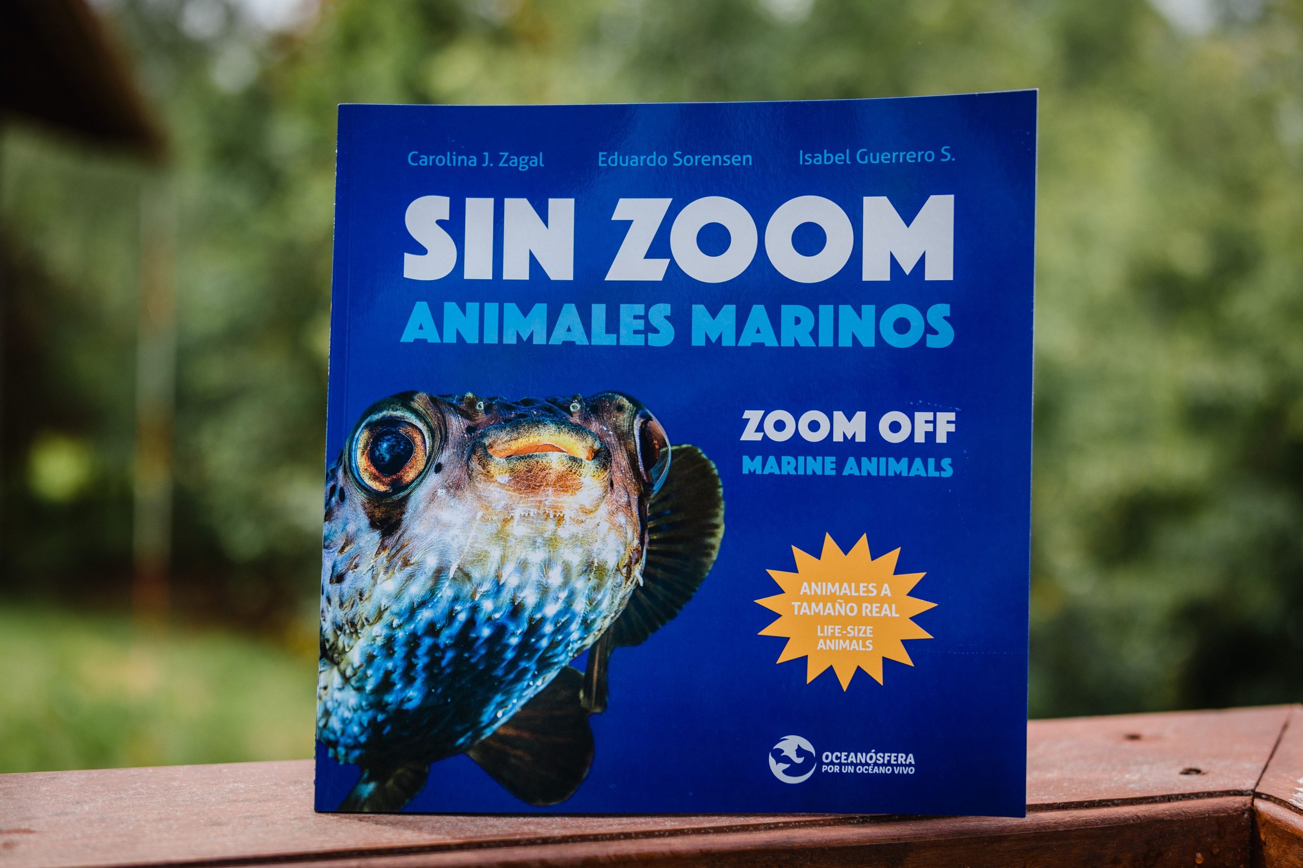 Se lanzará libro para niños que muestra fauna marina en tamaño real