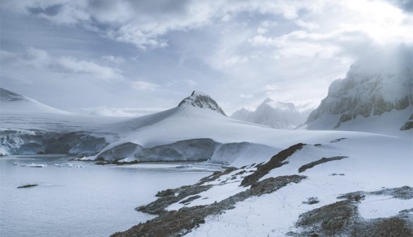 Pequeña lapa se convierte en candidato idóneo para invadir la Antártica