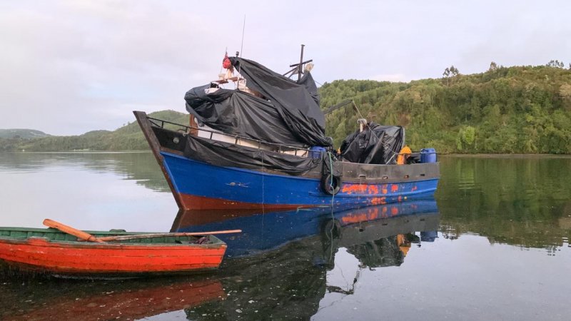 Chiloé: Policía Marítima incauta cerca de 13 mil kg de salmón robado