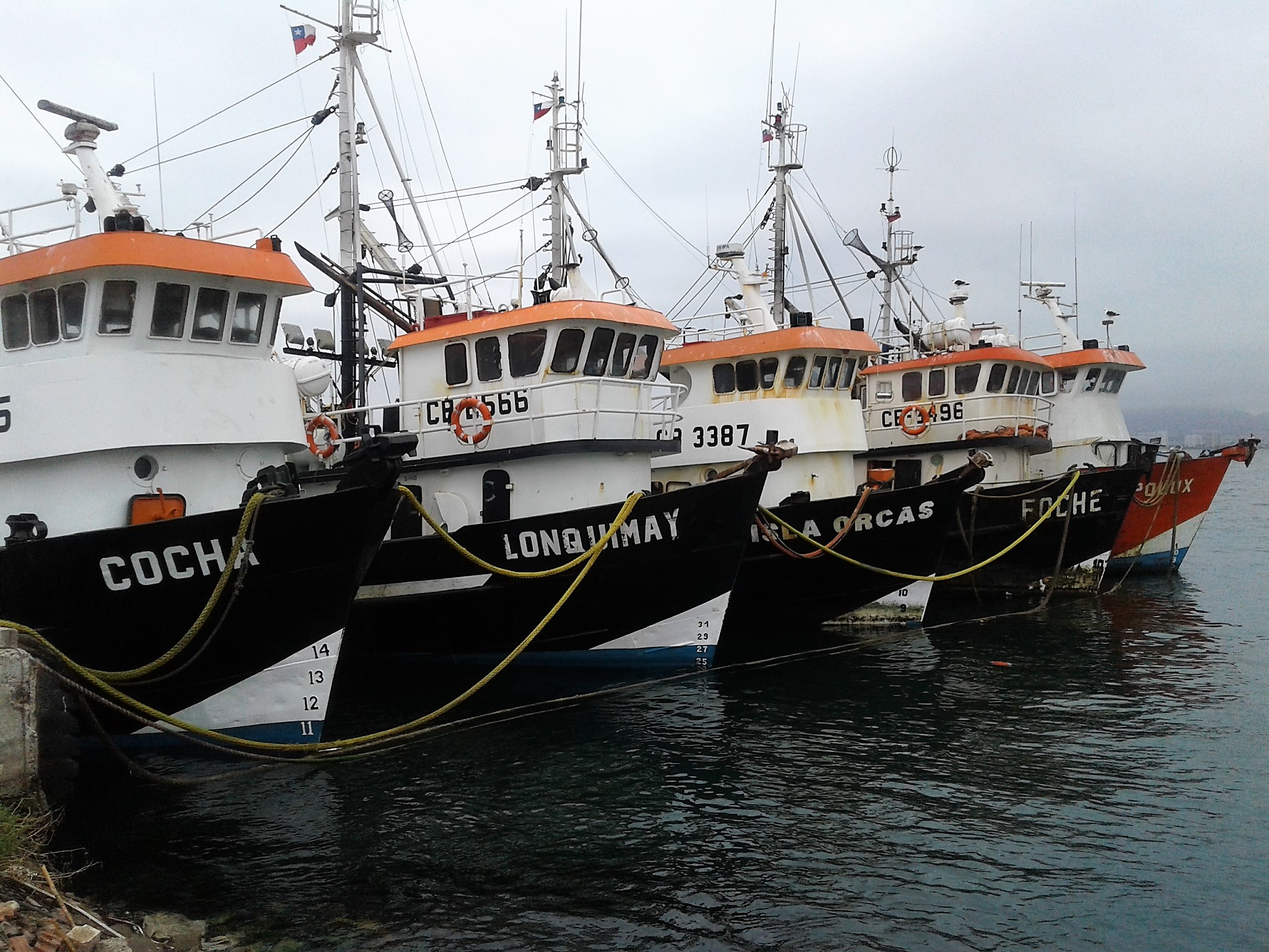 Gremio pesquero de Coquimbo manifiesta su preocupación por déficit de personal