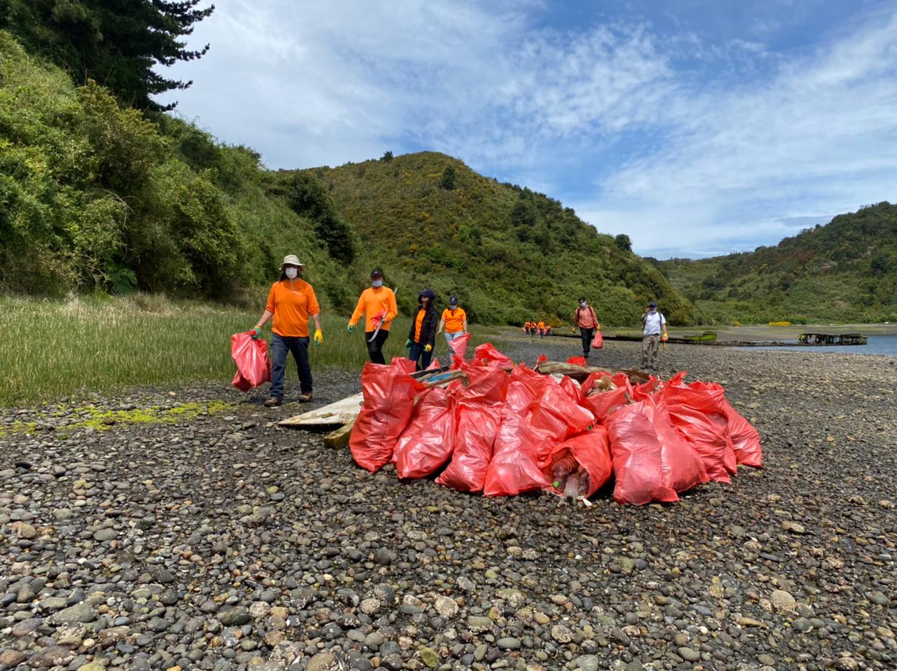 Isla Tenglo: SalmonChile junto a empresas socias participaron en limpieza de playas
