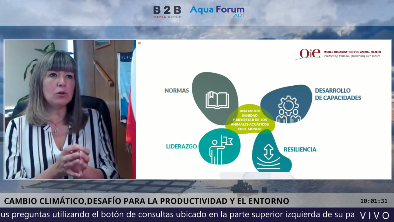 Cambio climático y medio ambiente: Este miércoles comenzó AquaForum Puerto Montt 2021