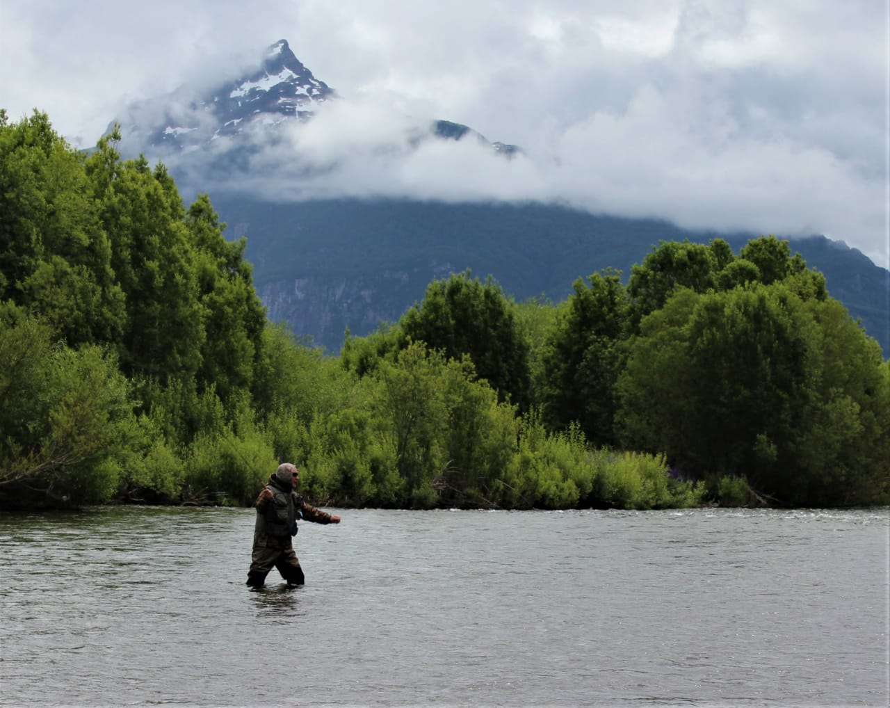 Comenzó veda biológica del salmón chinook en la región de Aysén