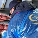 Sernapesca publicó Informe Sanitario de la Salmonicultura 2021