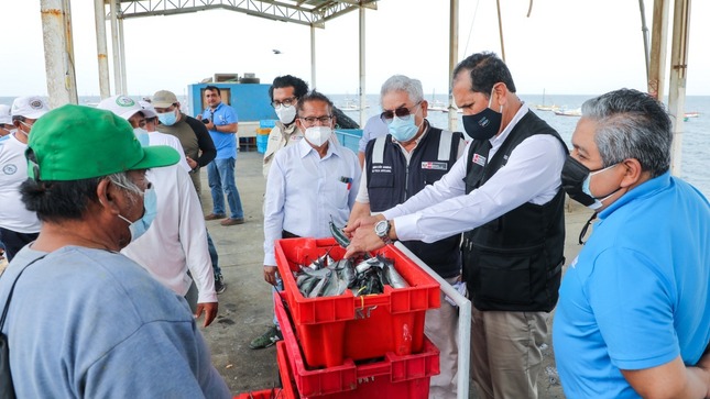 Perú: Precio del pescado se reduce en Lima y Callao