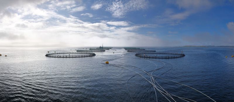 Noruega: Se llegó a un acuerdo por el impuesto a la salmonicultura