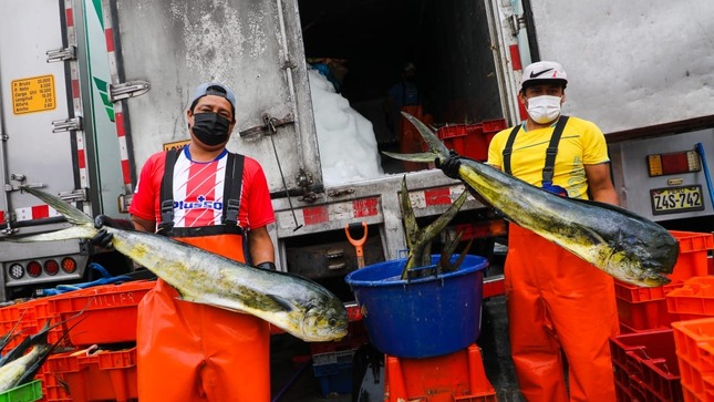 Produce: desembarque de recursos pesqueros en 2021 superó los niveles de prepandemia