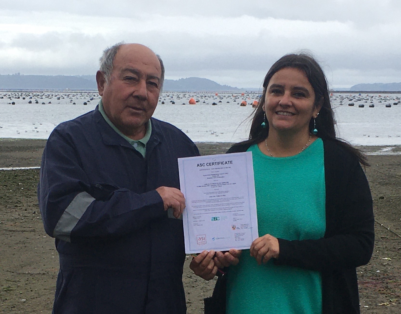 Chiloé: Consultores de Orion logran certificación ASC para pequeño productor de mitilidos