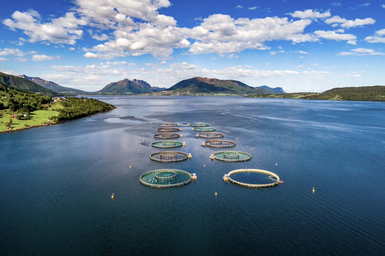 Innovasea realiza monitoreo ambiental en tiempo real en centro de Grieg Seafood