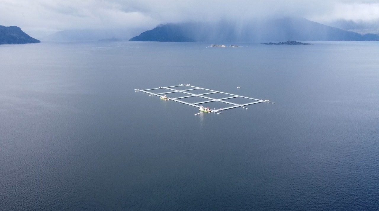 Nuevas tecnologías: Programa de acuicultura en zonas de alta energía continúa avanzando en Chile