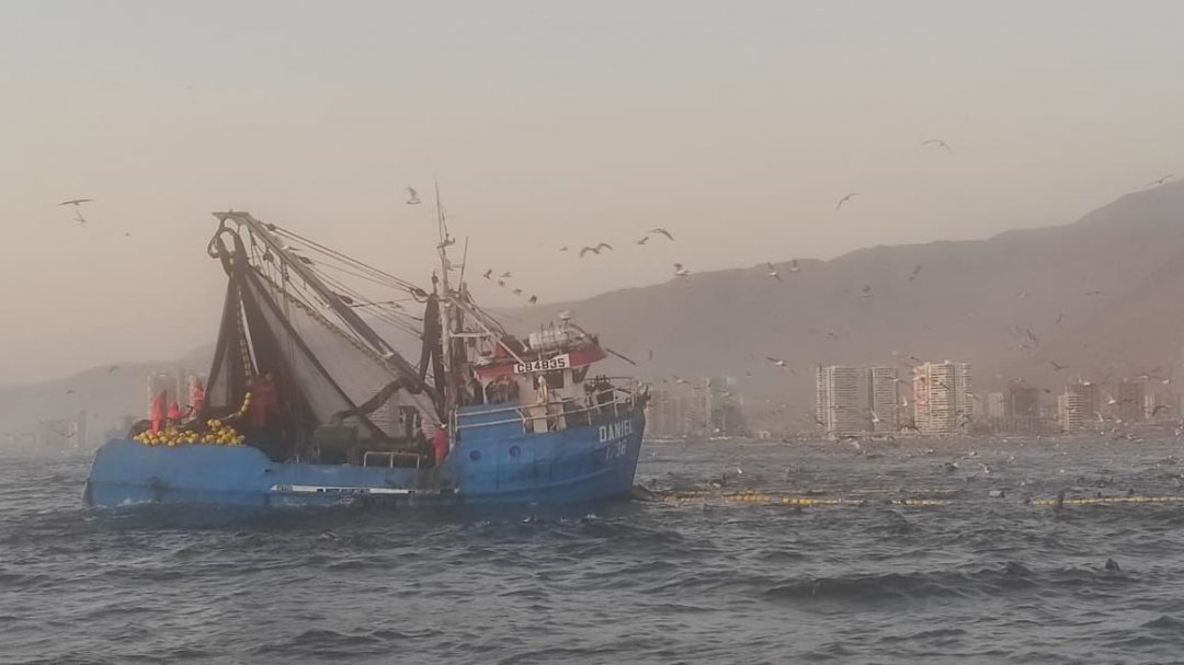 Detectan lanchas pesqueras en zona exclusiva para naves menores