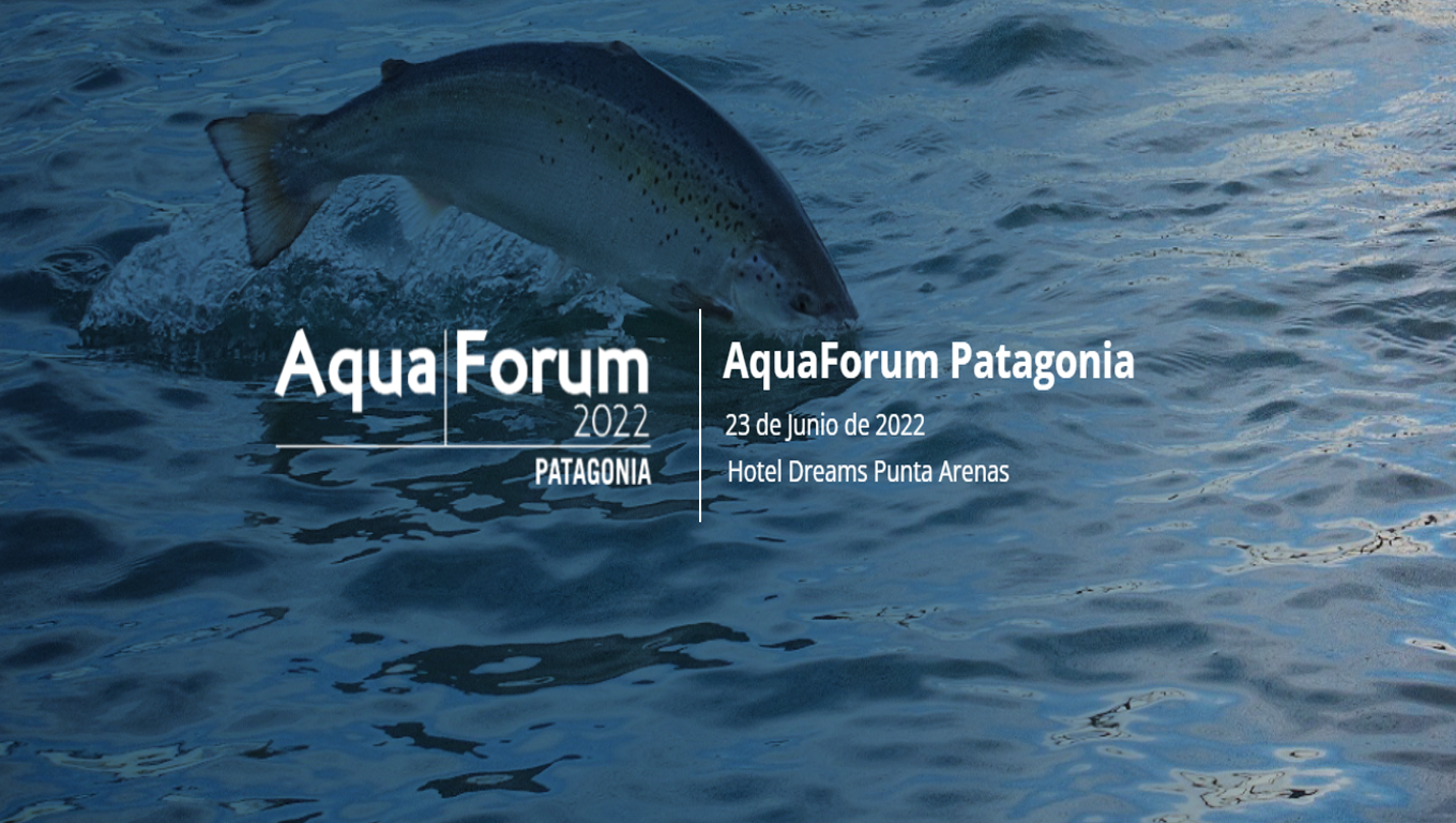 AquaForum Patagonia 2022: Alistan nutrida agenda para destacada conferencia internacional