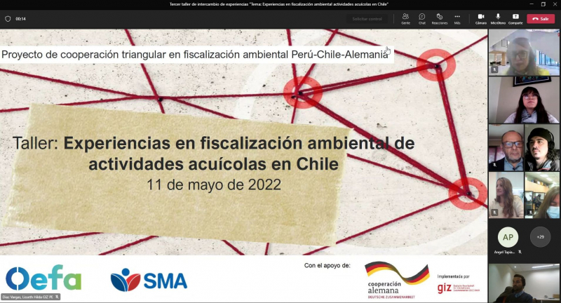 Cooperación entre Chile, Perú y Alemania realiza taller de experiencia de fiscalización en acuicultura