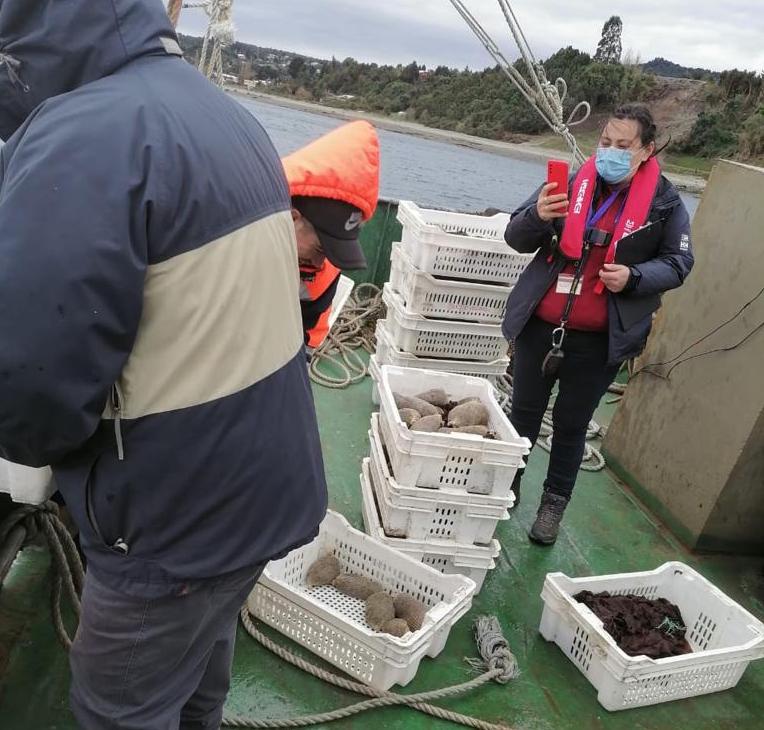 Salmones Austral fortalece apoyo en áreas de manejo de las comunidades del borde costero