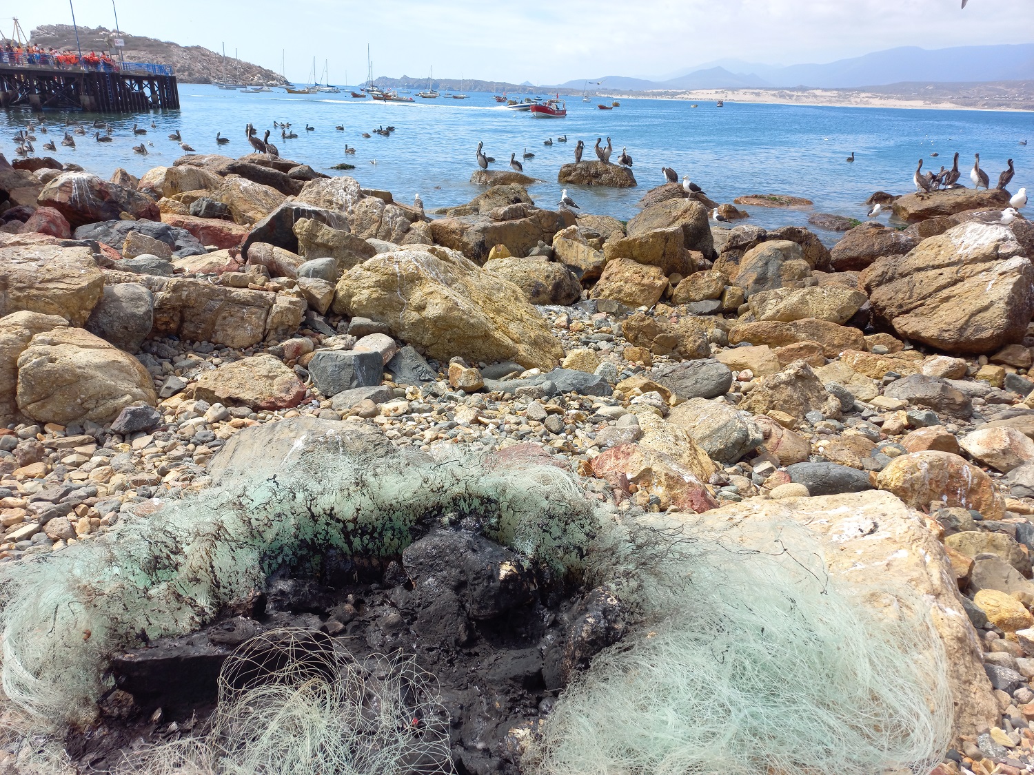Anualmente en Chile: Más de 290 toneladas de residuos plásticos de la pesca artesanal quedarían en el mar