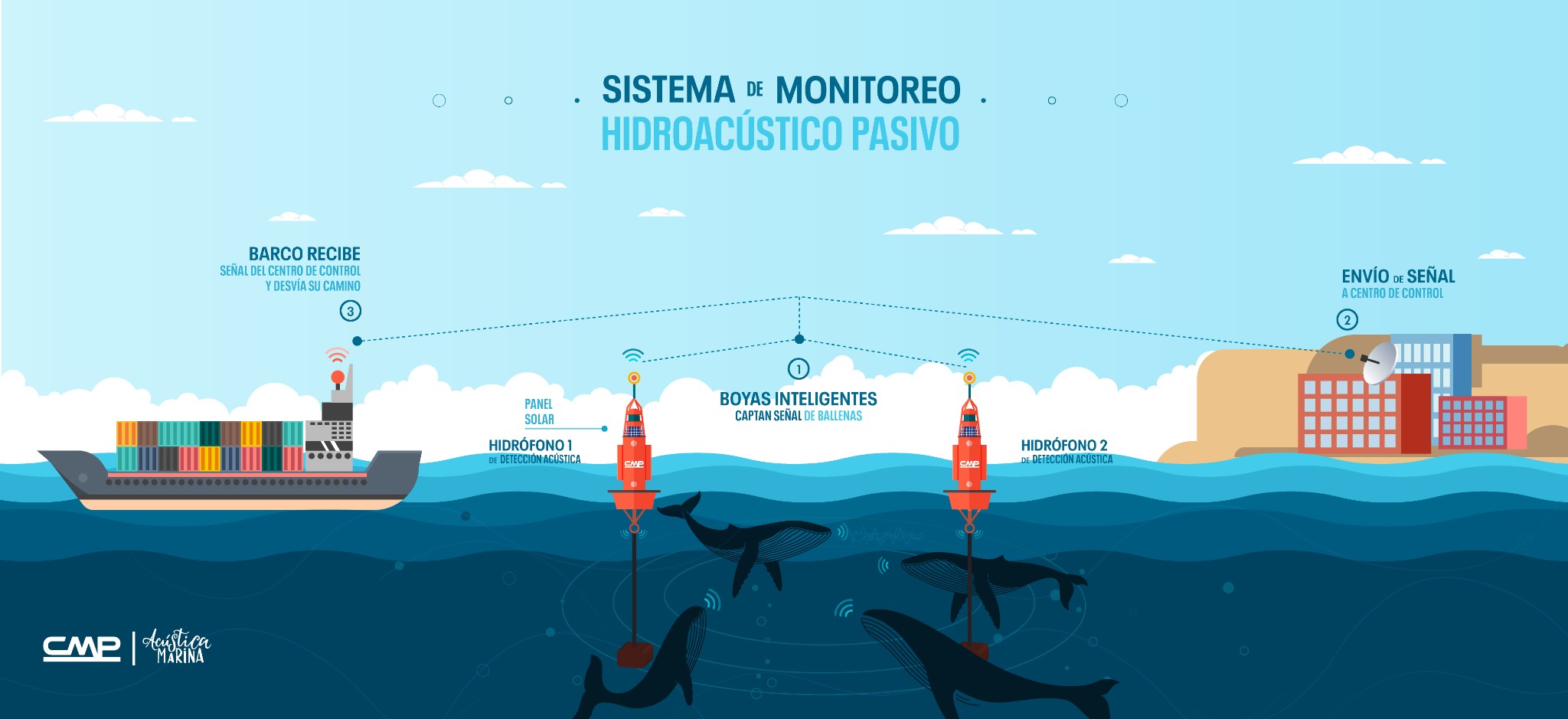 CMP instalará “Boyas Hidroacústicas” para monitoreo y detección de fauna marina