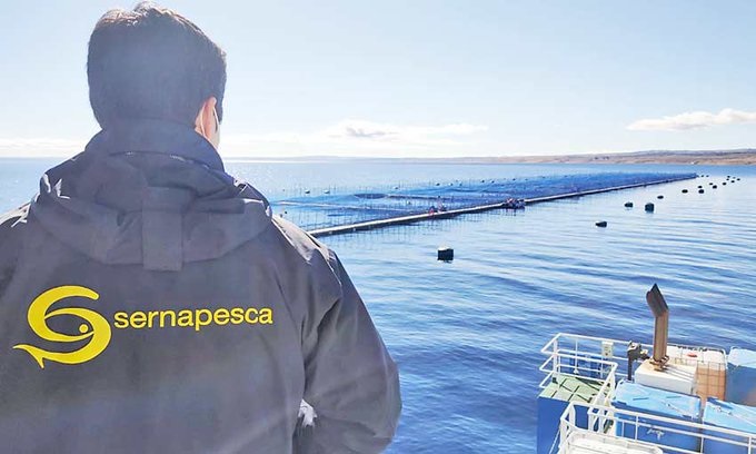 Magallanes: Denuncias por incumplimientos en acuicultura aumentaron el primer semestre de 2022