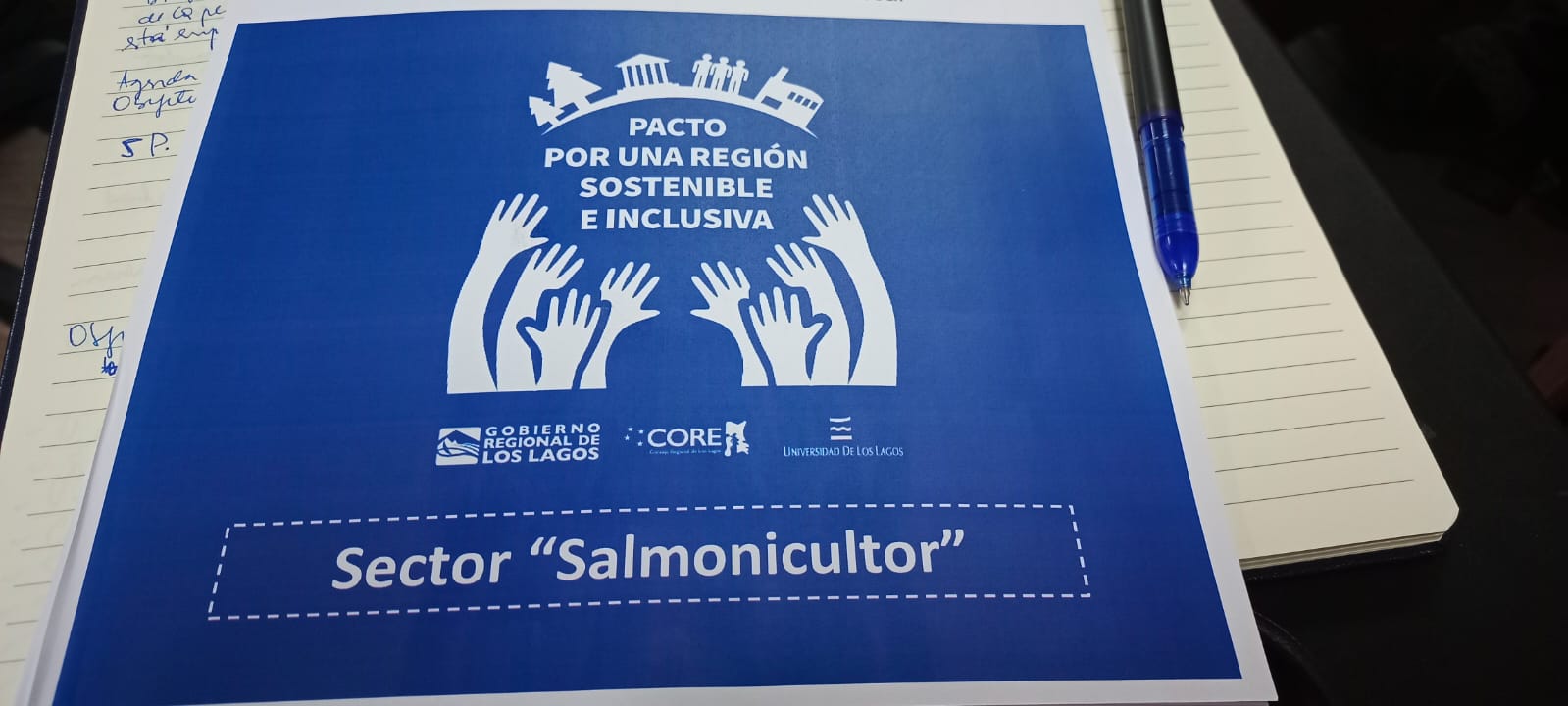 Pacto por una Región Sostenible e Inclusiva: Empresas salmoneras participan en primera mesa