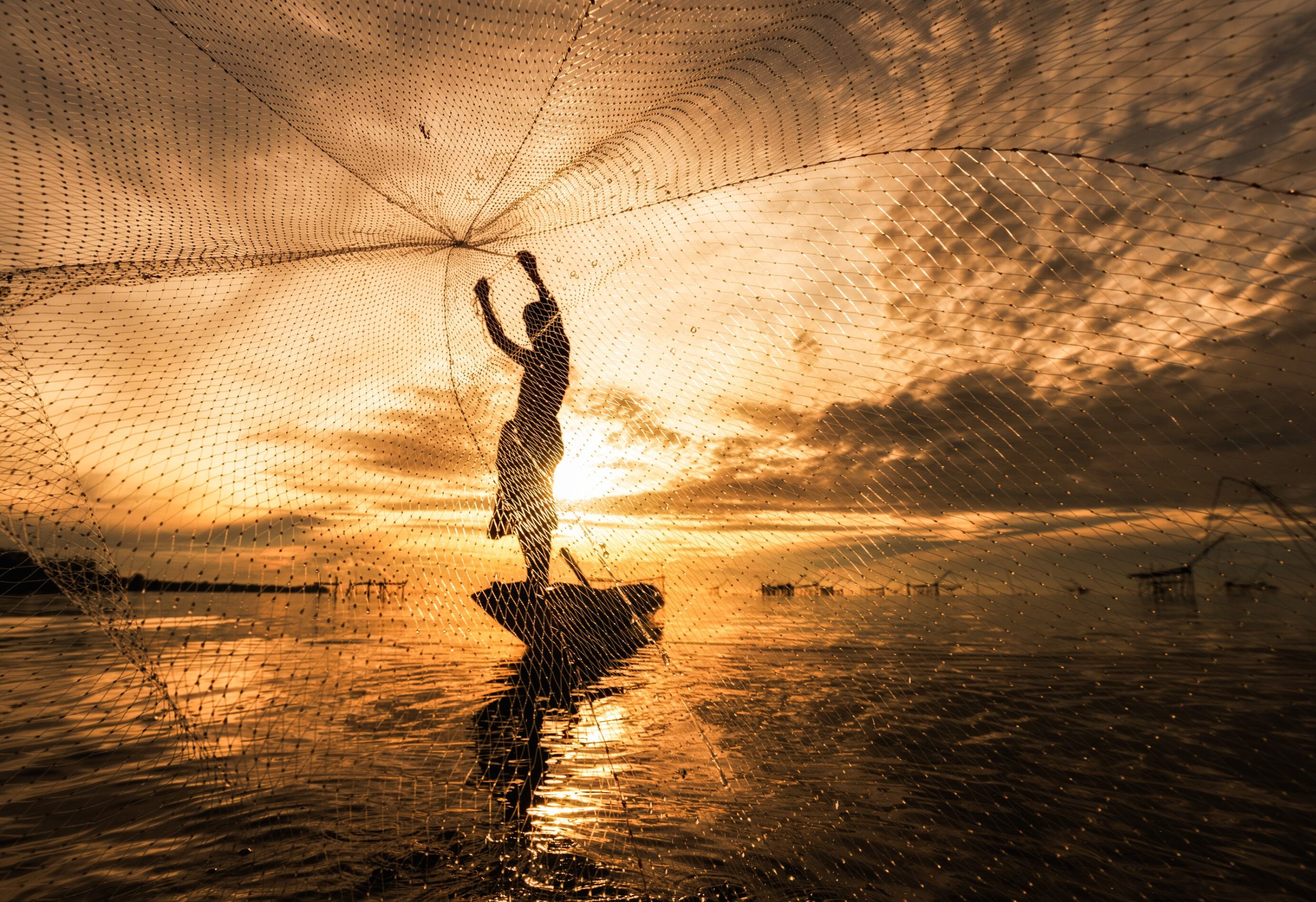 Incremento en pesca y acuicultura contribuye de manera decisiva a la seguridad alimentaria mundial