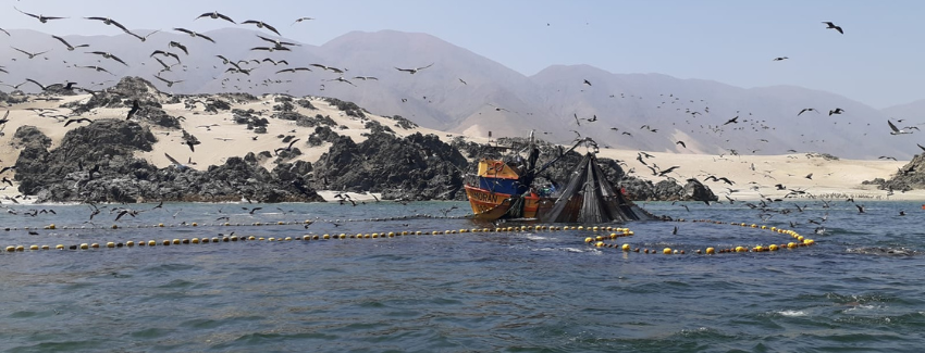 Aumenta la fiscalización de la normativa pesquera en la primera milla marina