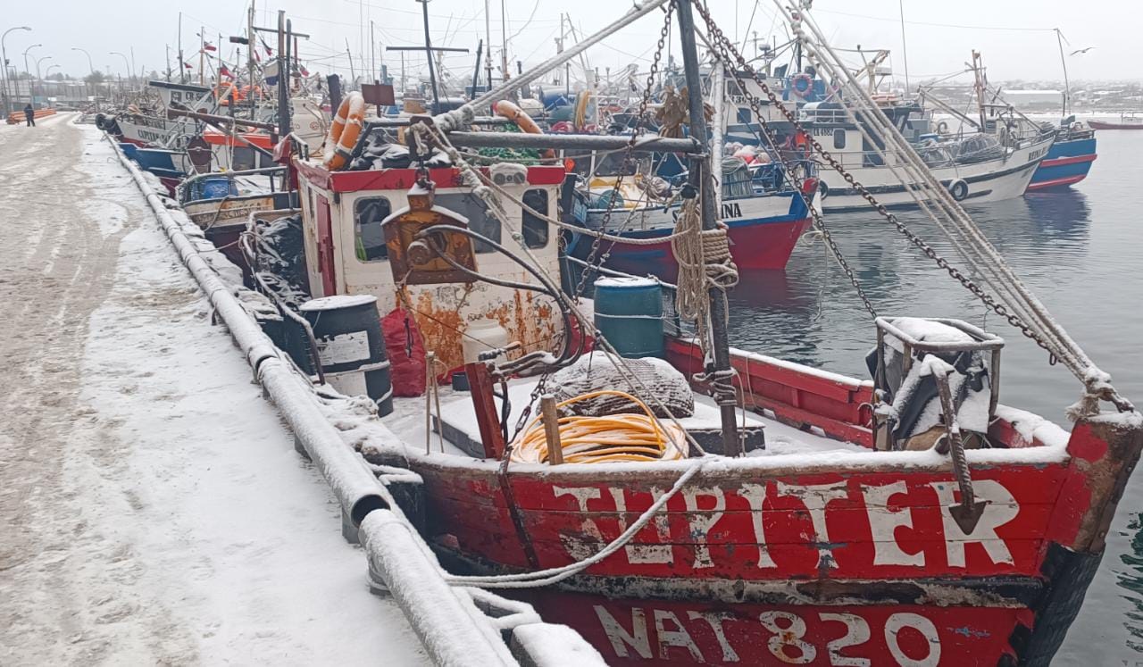 Magallanes: Sorprenden desembarque ilegal de recurso pesquero en veda