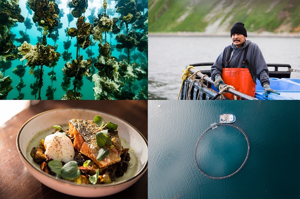 Chefs estadounidenses se asocian con ONGs y lanzan coalición para la acuicultura sostenible