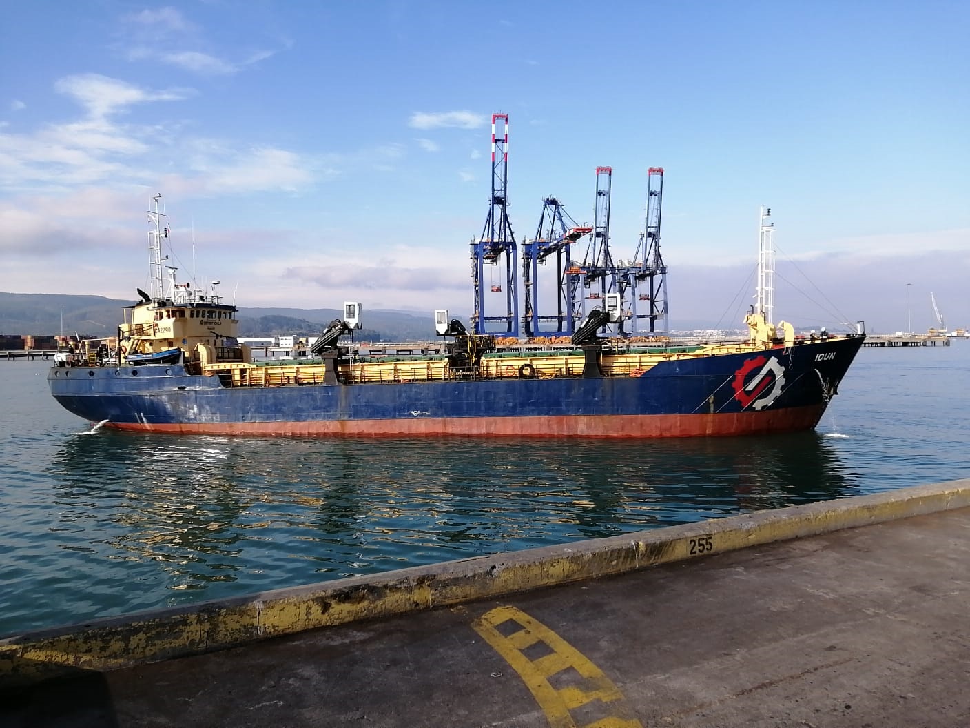 Cargill realiza primer envío de alimento por vía marítima a Puerto Montt
