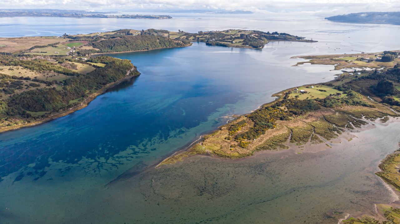 MMA declara tres humedales costeros de Chiloé como nuevos Santuarios de la Naturaleza