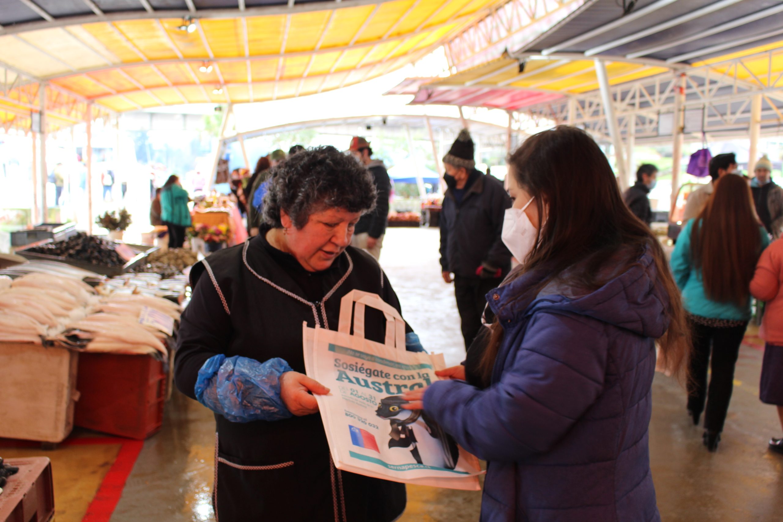 Valdivia: Sernapesca lanzó campaña de la veda de la merluza austral en Feria Fluvial