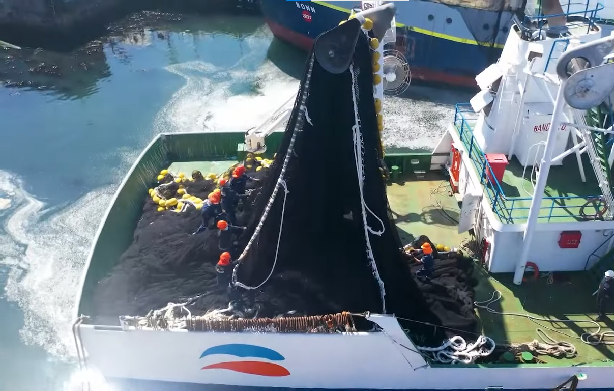 Blumar y Bureo convirtieron 120 toneladas de redes de pesca en energía renovable para albergue
