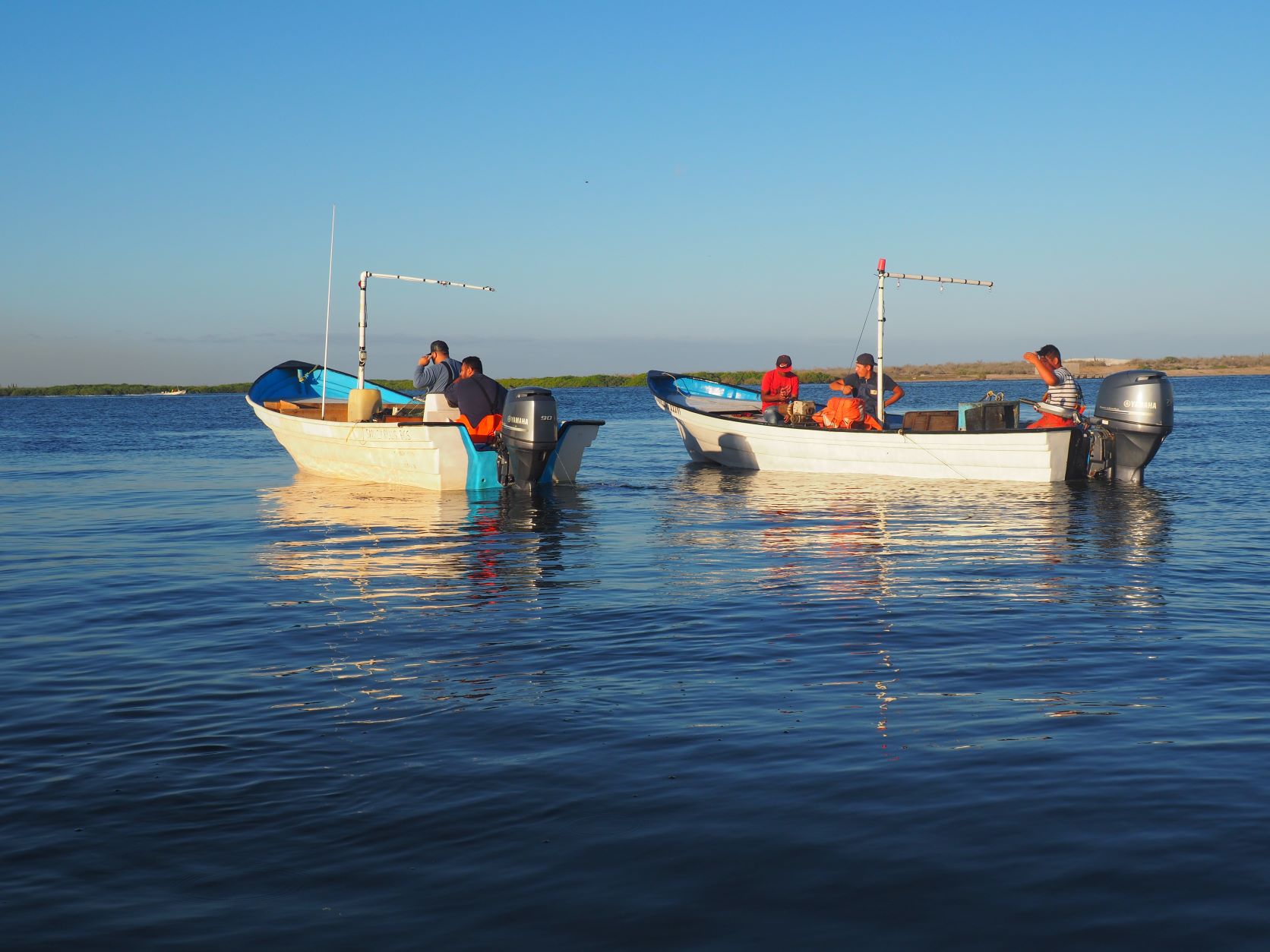 Analizan el impacto y beneficios de incluir sistemas de monitoreo en la pesca artesanal