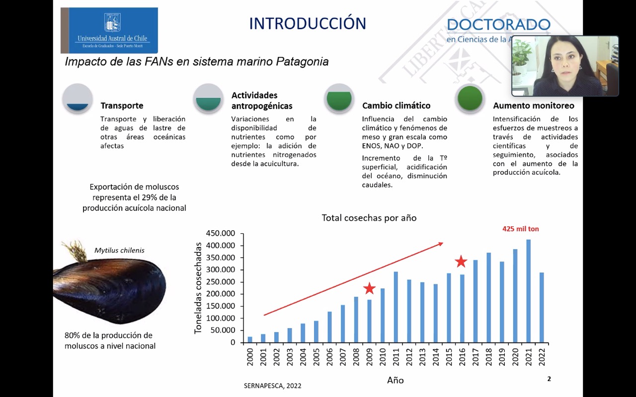 Estudiante Uach realizará tesis doctoral sobre el efecto de las FAN’s en la vida del Mejillón chileno