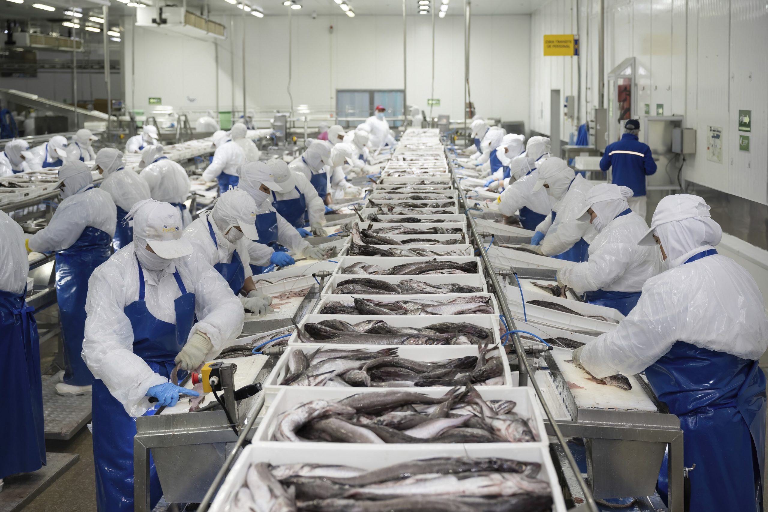 Ámbito laboral: Pesca industrial busca reforzar iniciativas de empleo y capacitación