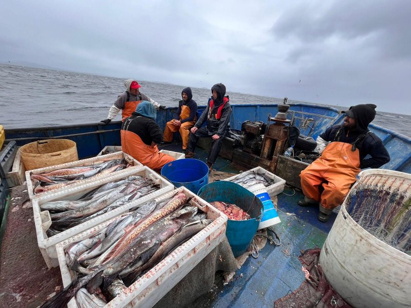 Fiscalización en la región de Aysén deja como saldo 1.8 toneladas de recursos pesqueros
