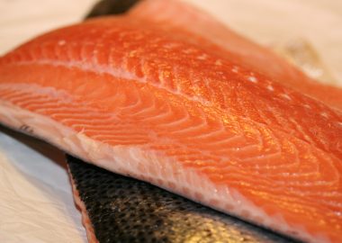 Exportación de salmón anotó crecimiento interanual de 7,8% a enero de 2023 en Los Lagos