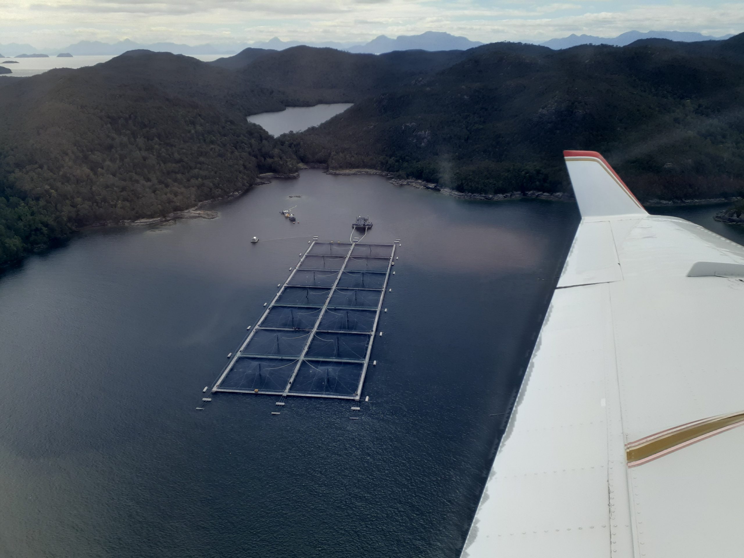 Sernapesca realiza nueva inspección aérea en zona de pesca de Aysén