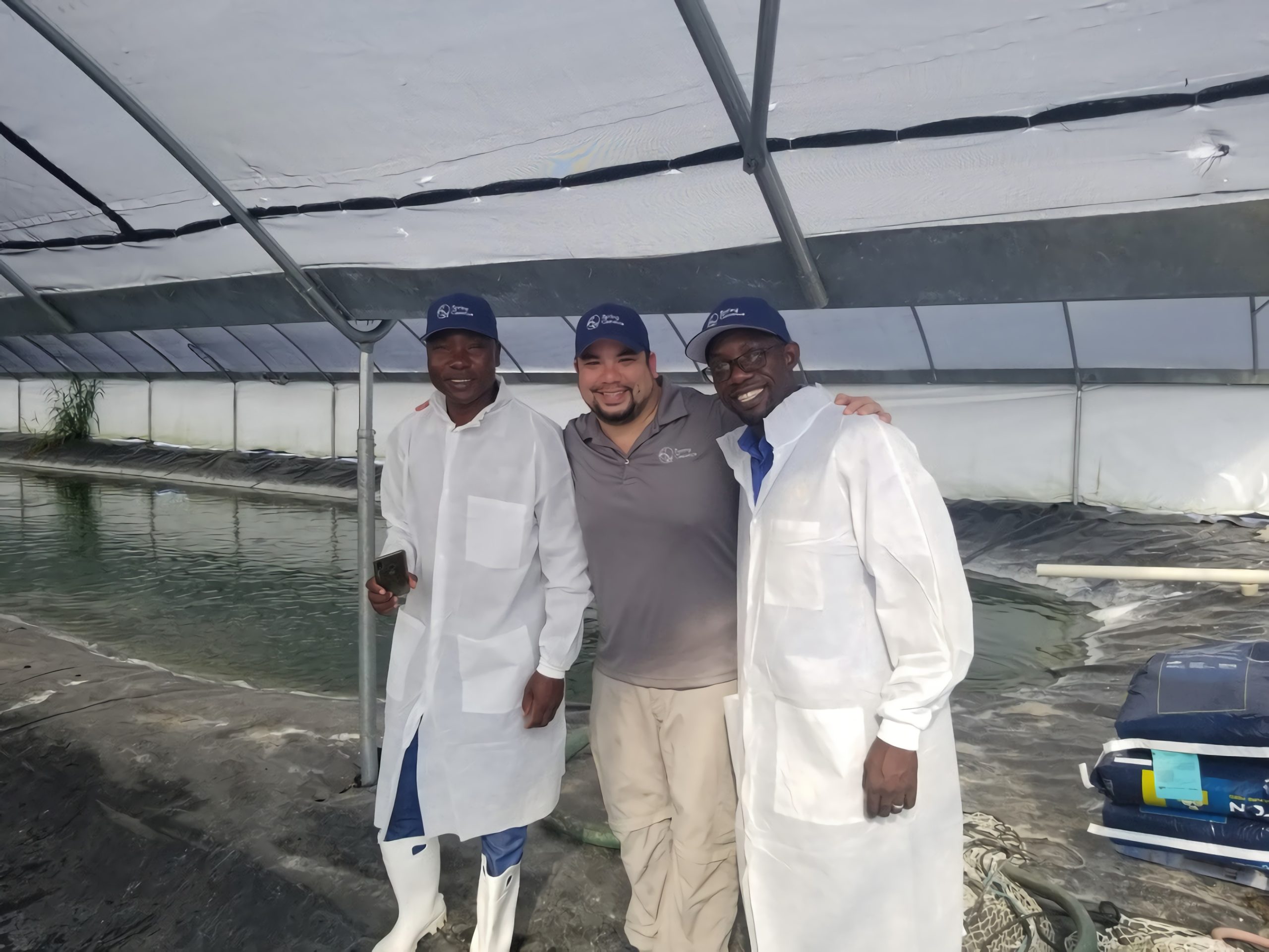 Genética en el cultivo de tilapia: Un enfoque tecnológico en acuicultura