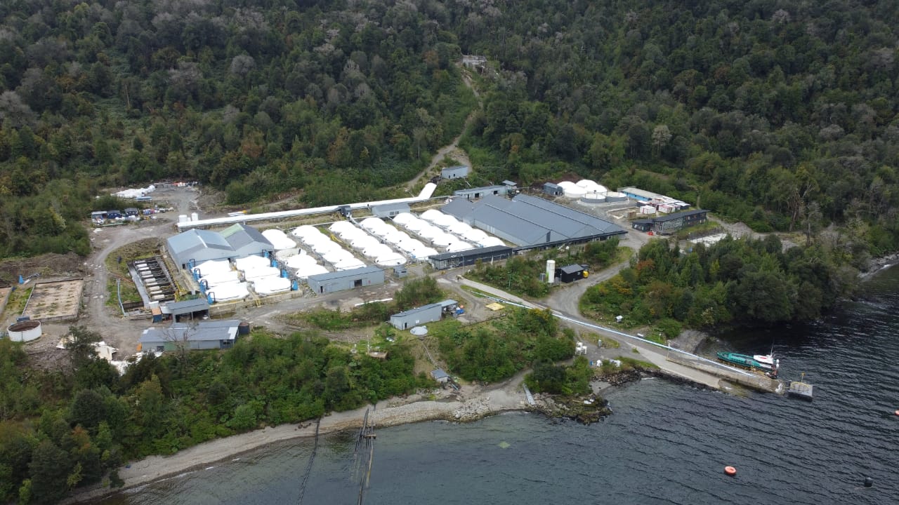 Mowi Chile inicia la transición energética en su piscicultura Fiordo Aysén