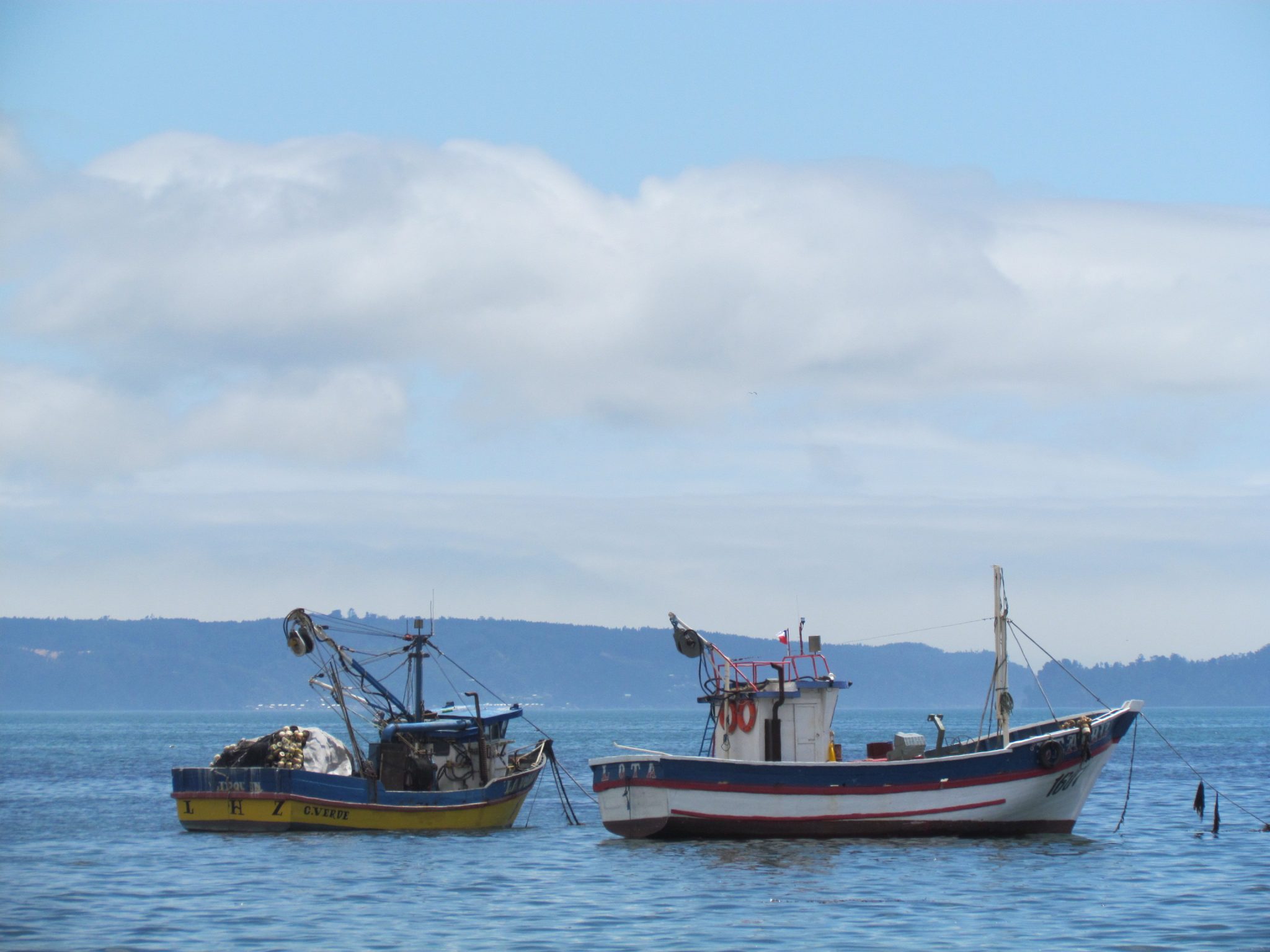 Región del Biobío: Abren concurso que entregará módulos de agregación de valor a pescadoras artesanales