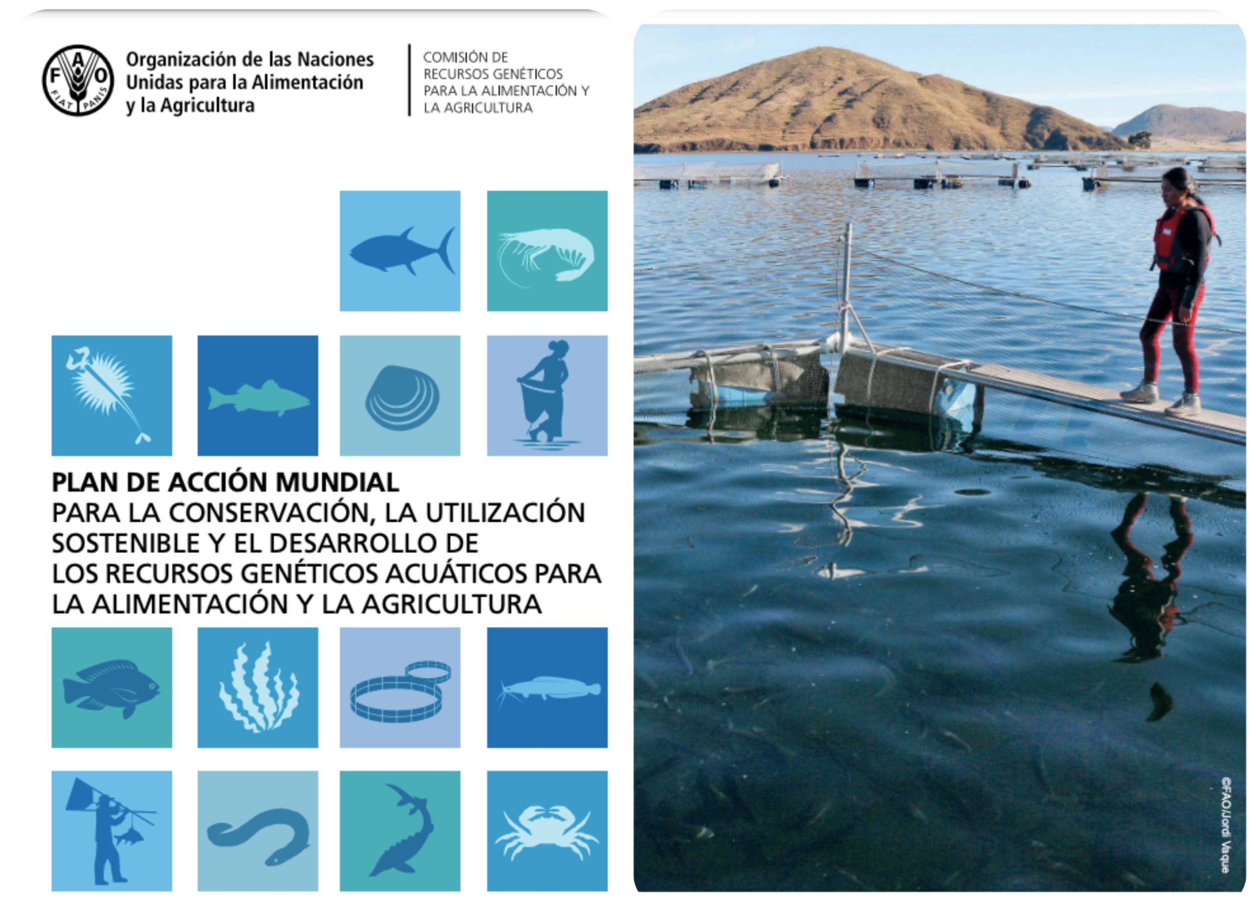 Académica UACh invita a presentación de plan mundial de la FAO para conservación de recursos acuáticos