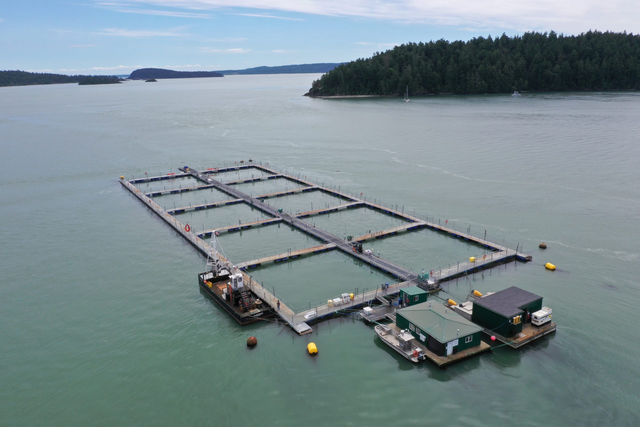 Cooke Aquaculture es nombrada una de las empresas mejor gestionadas de Canadá