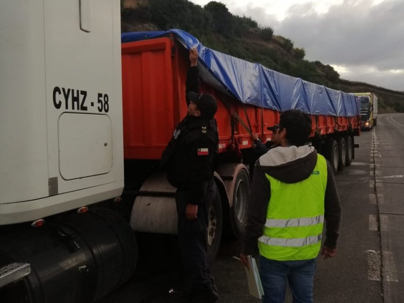 Chiloé: Autoridad Marítima y Sernapesca incautan más de ocho toneladas de luga negra