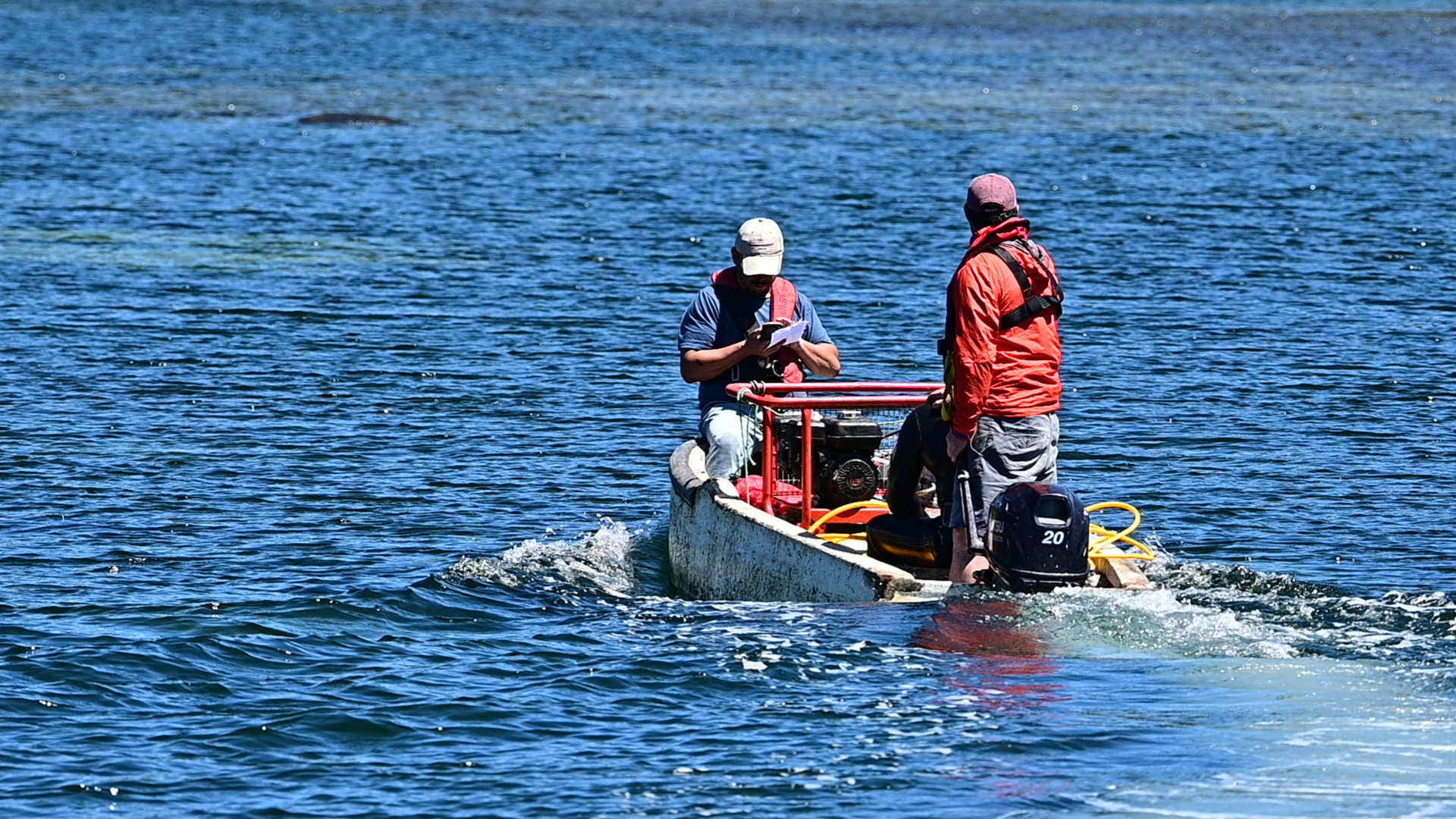 Programa de Investigación Pesquera e IFOP realizan nuevo monitoreo a estaciones de erizos y almejas en Aysén