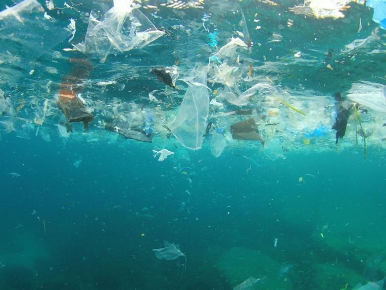 Investigadores chilenos exploran la ecotoxicidad de plásticos en ambientes marinos