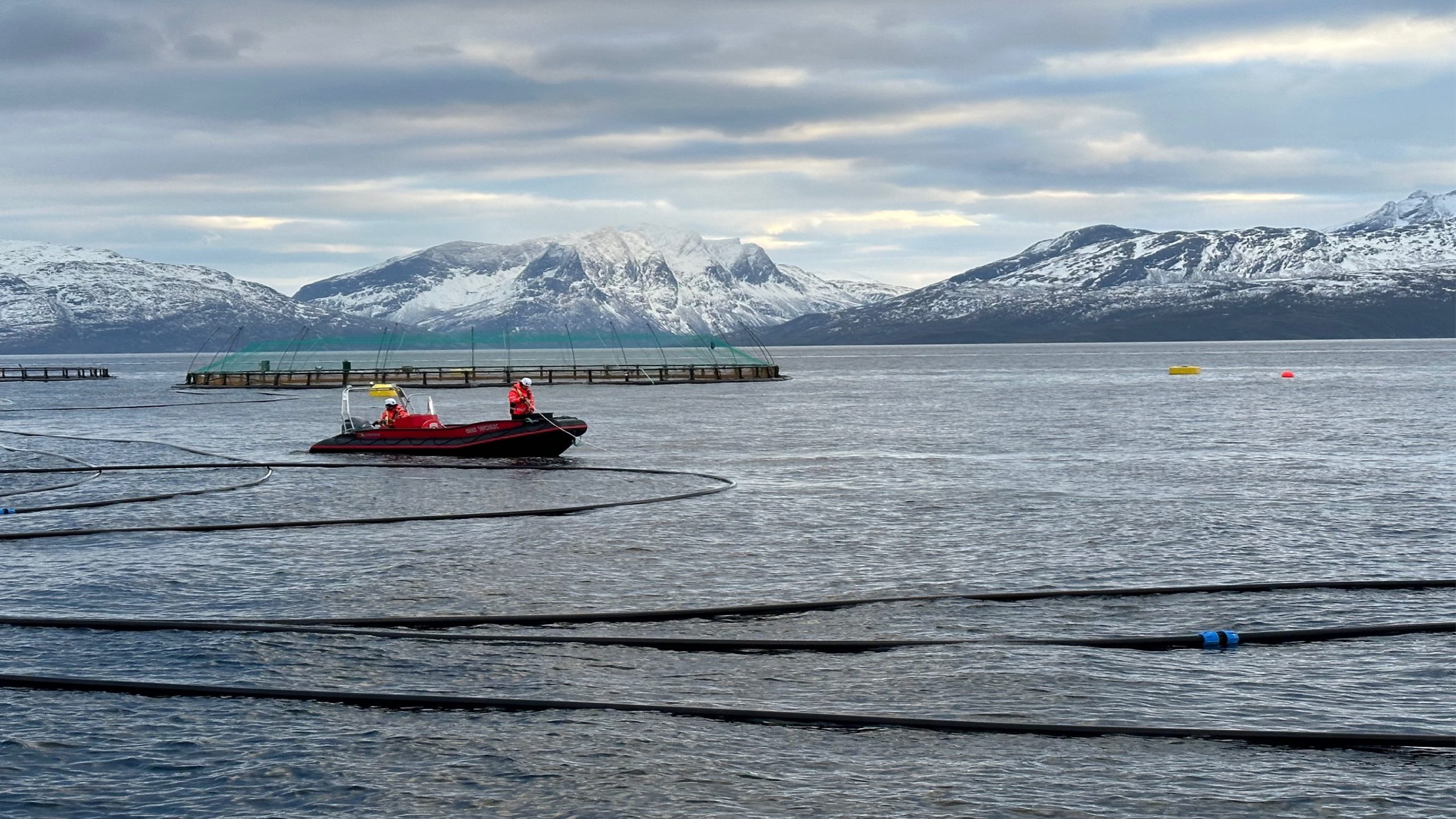 Folla Alger y Cermaq prueban centro combinado para salmón y algas marinas en Noruega