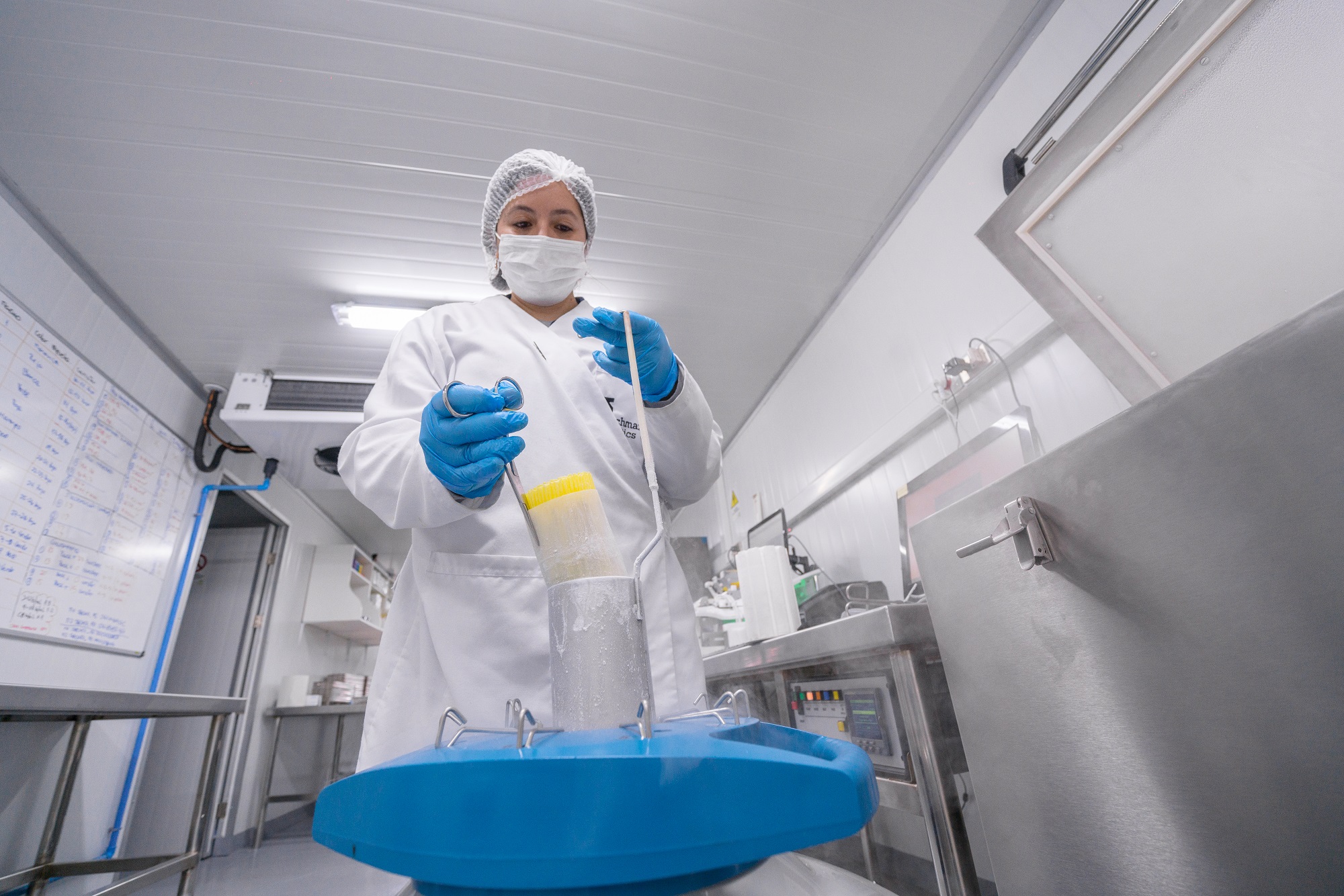 Benchmark Genetics Chile fortalece con éxito programa de producción de ovas fuera de temporada