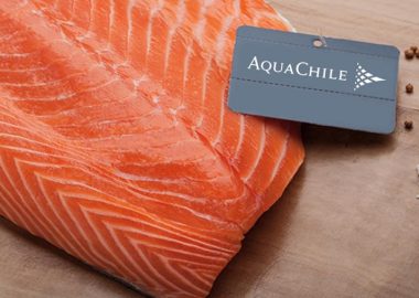 AquaChile informa sus resultados operativos para el primer trimestre de 2024